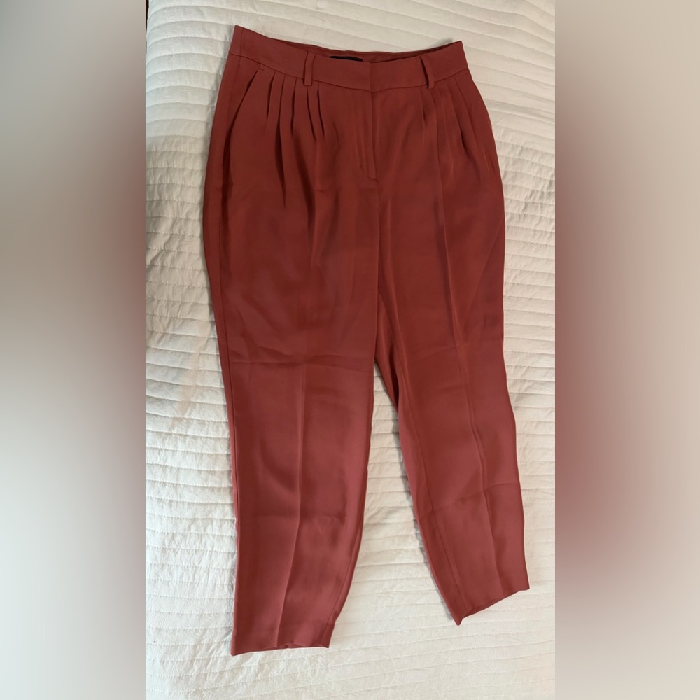 Express Women's Terracotta Pants high waist size 4R